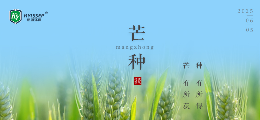 芒种：我们都“芒”有所获，“种”有所得