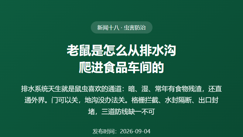 老鼠是怎么从排水沟爬进食品车间的？排水系统的三道虫害防线